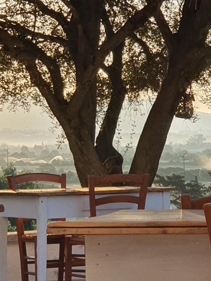 올비아 Nacchinono B&B 외부 사진